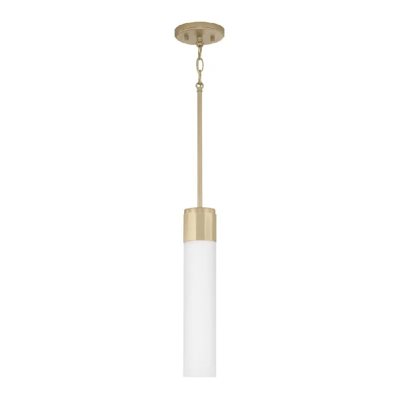 Modern Minimalist Ceiling Lights for Contemporary InteriorsModern Minimalist Ceiling Lights for Contemporary Interiors1 Light Pendant